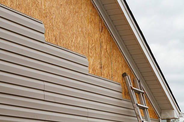 Professional Siding Installation technician working in Dendron, VA